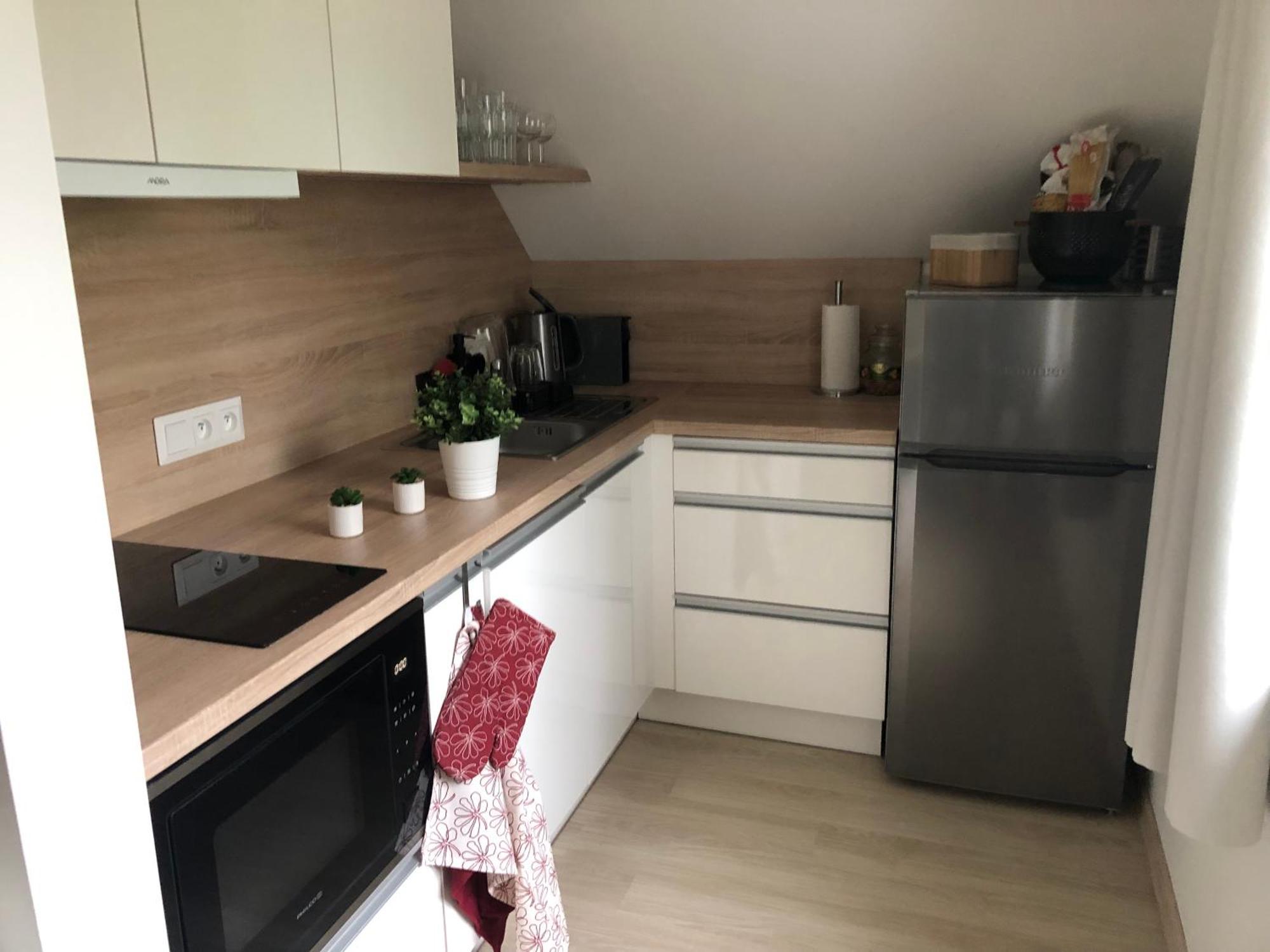 Apartman Krusne Hory - Erzgebirge Horní Blatná Exterior foto